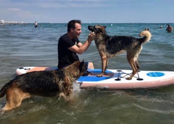 LES PLUS BELLES CITATIONS SUR LES ANIMAUX