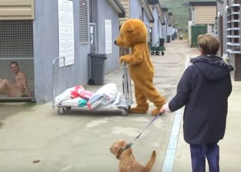 CAMPAGNE CHOC DE RÉMI GAILLARD POUR LUTTER CONTRE LES ABANDONS ABUSIFS