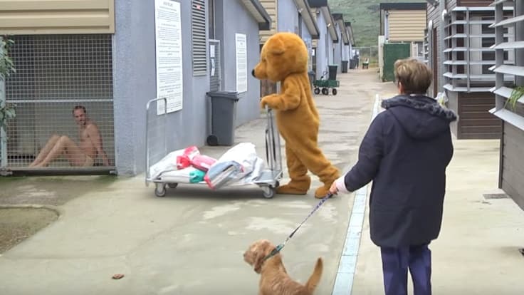 CAMPAGNE CHOC DE RÉMI GAILLARD POUR LUTTER CONTRE LES ABANDONS ABUSIFS