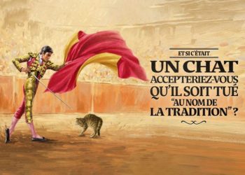 TOP DES CAMPAGNES ANTI CORRIDA