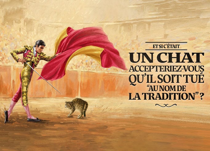 TOP DES CAMPAGNES ANTI CORRIDA