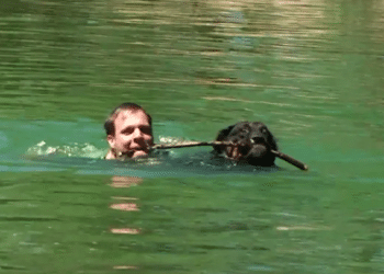 RÉMI GAILLARD : « L’ANIMAL EST BIEN PLUS QU’UN ÊTRE SENSIBLE »