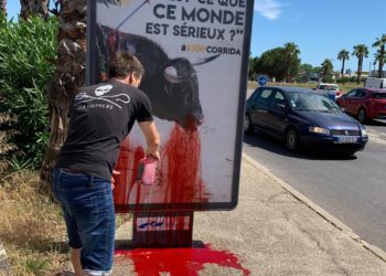 AFFICHAGES PUBLICITAIRES ANYMAL