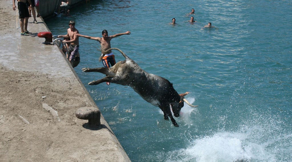 TOP 5 DES TRADITIONS QUI TORTURENT DES ANIMAUX EN ESPAGNE