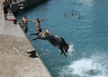 TOP 5 DES TRADITIONS QUI TORTURENT DES ANIMAUX EN ESPAGNE