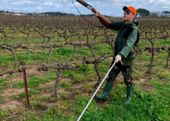 CHASSE : LE LOISIR QUI TUE