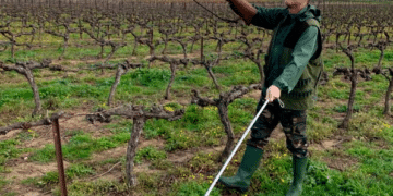 CHASSE : LE LOISIR QUI TUE