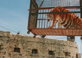 FORT BOYARD : L’ÉMISSION POURRAIT ARRÊTER D’UTILISER DES ANIMAUX
