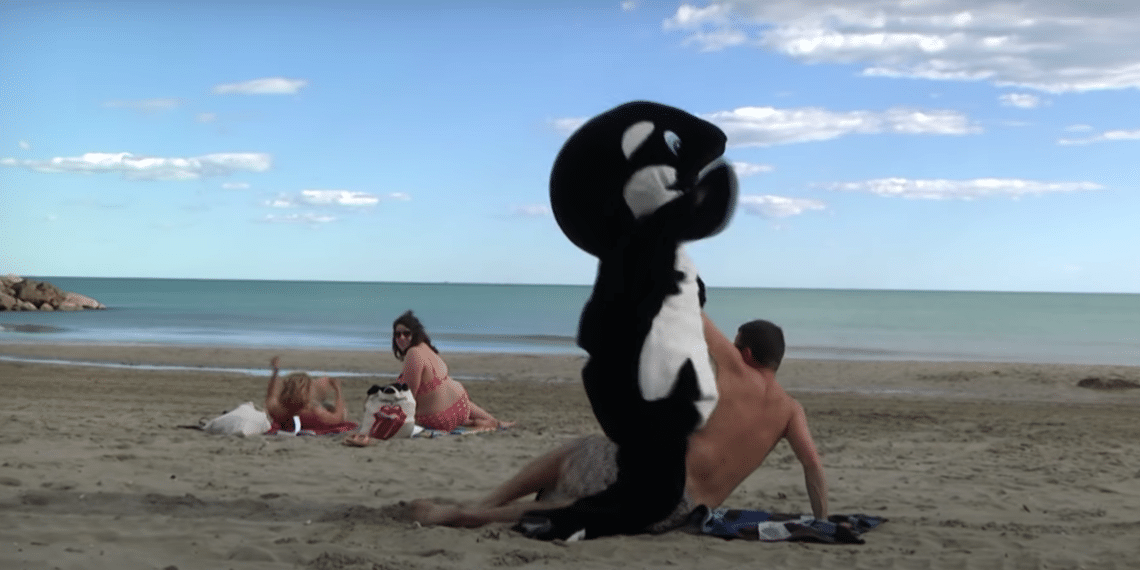 RÉMI GAILLARD S’ATTAQUE À MARINELAND DANS SA DERNIÈRE VIDÉO