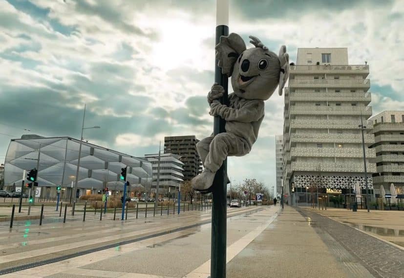 SPOTS VIDÉOS ANYMAL