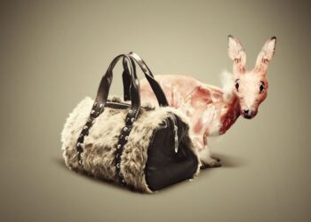 TOP DES CAMPAGNES ANTI FOURRURE