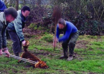 VÉNERIE SOUS TERRE : LE LOISIR SORDIDE ?
