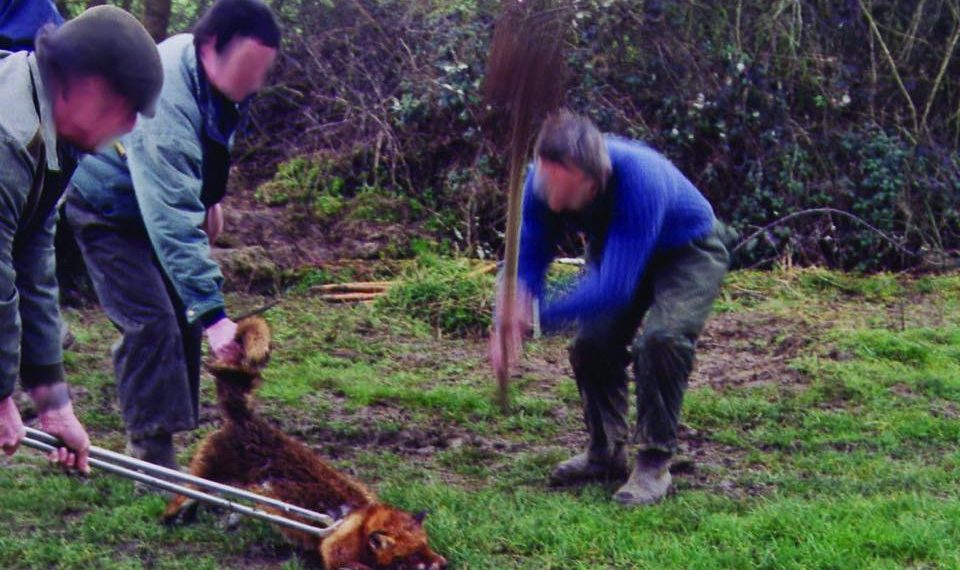 VÉNERIE SOUS TERRE : LE LOISIR SORDIDE ?
