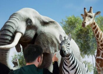 EN 2020, RÉMI GAILLARD PROPOSAIT LE « ZOOLOGRAMME », L’AUSTRALIE COMMENCE À LE FAIRE.